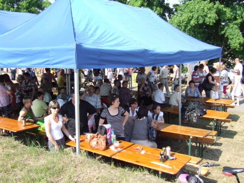 Zdjęcie w galerii na portalu naszwodzislaw.com: Inscenizacja bitwy Olzańskiej wiadomości z regionu