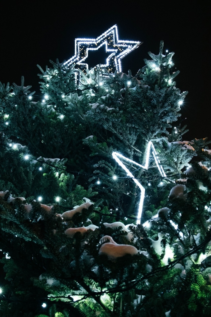 Zdjęcie w galerii na portalu naszwodzislaw.com: W Radlinie II spotkali się przy choince [FOTO] wiadomości z regionu