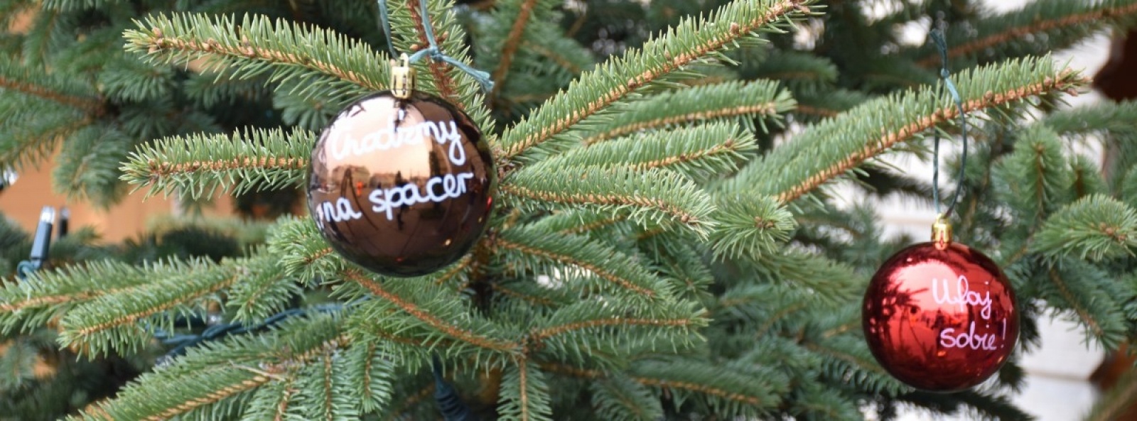 Zdjęcie w galerii na portalu naszwodzislaw.com: Pozytywna choinka na wodzisławskim Rynku wiadomości z regionu