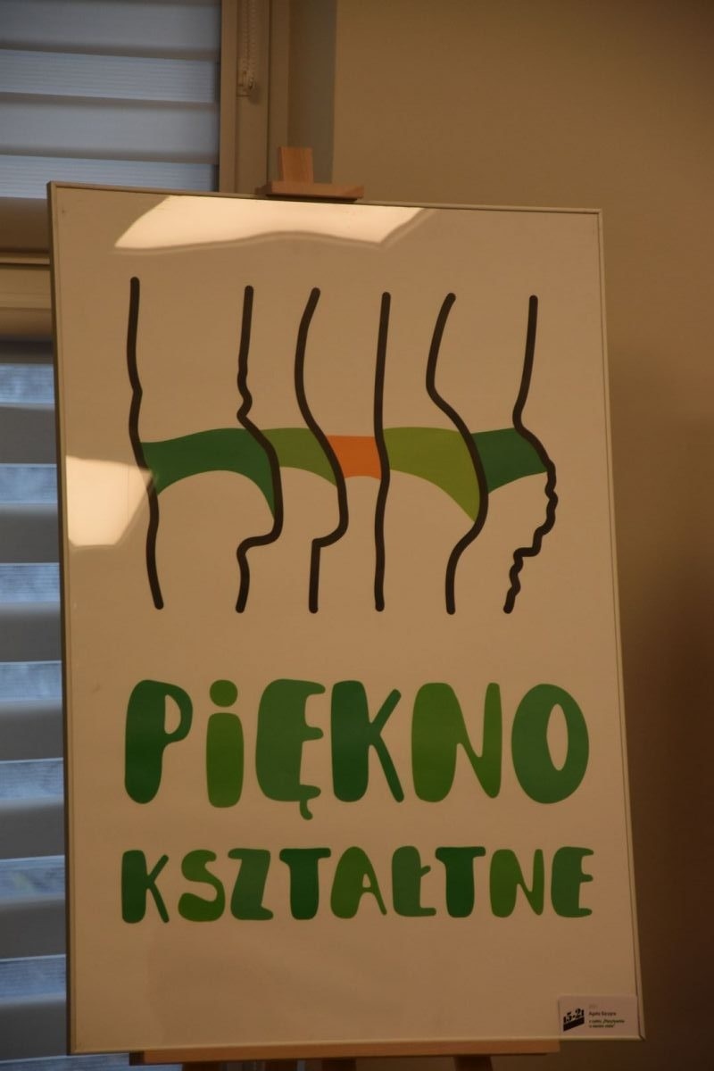 Zdjęcie w galerii na portalu naszwodzislaw.com: Plastyk chwali się pracami dyplomowymi uczniów i absolwentów wiadomości z regionu