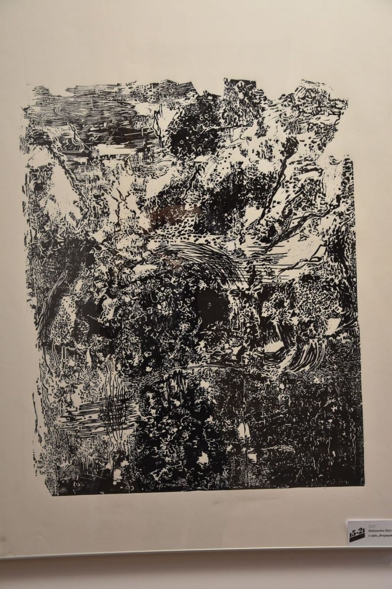 Zdjęcie w galerii na portalu naszwodzislaw.com: Plastyk chwali się pracami dyplomowymi uczniów i absolwentów wiadomości z regionu