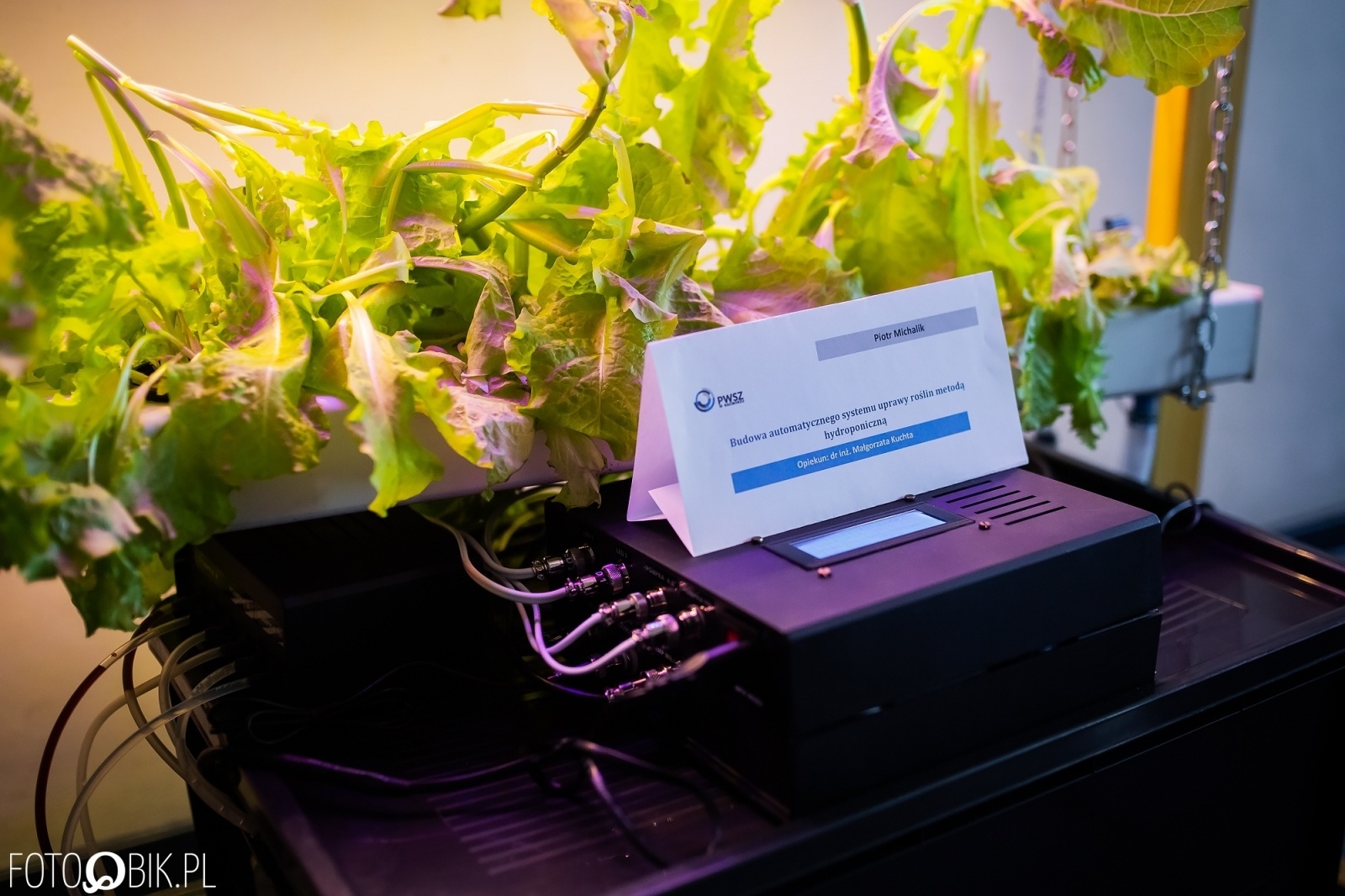 Zdjęcie w galerii na portalu naszwodzislaw.com: Projekt inżynierski absolwenta raciborskiej PWSZ najlepszy w Polsce wiadomości z regionu