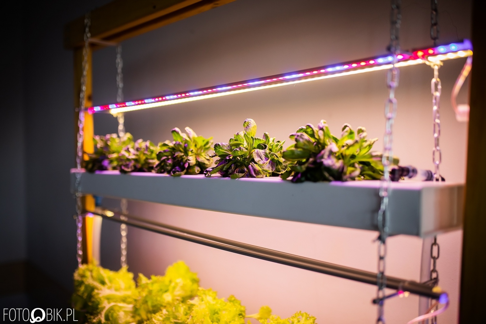 Zdjęcie w galerii na portalu naszwodzislaw.com: Projekt inżynierski absolwenta raciborskiej PWSZ najlepszy w Polsce wiadomości z regionu