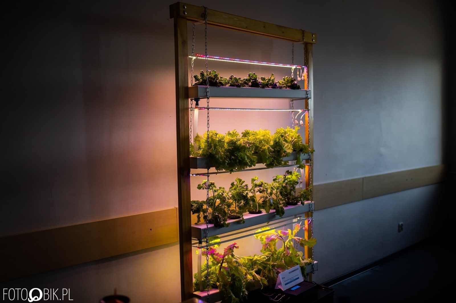 Zdjęcie w galerii na portalu naszwodzislaw.com: Projekt inżynierski absolwenta raciborskiej PWSZ najlepszy w Polsce wiadomości z regionu