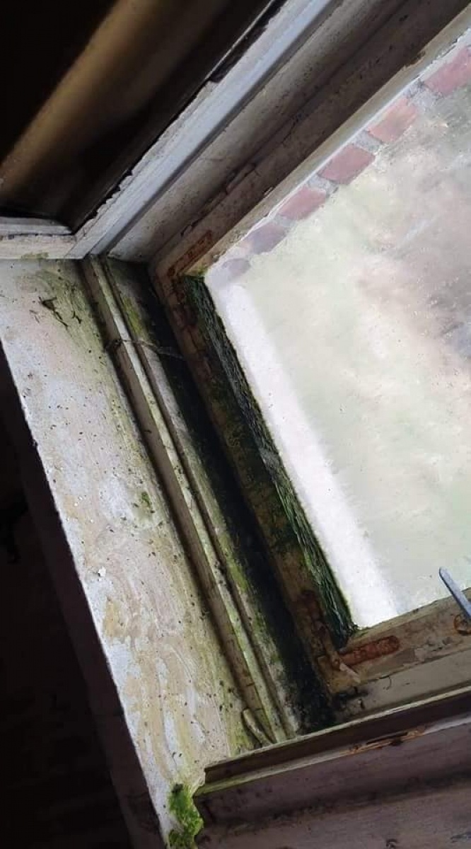 Zdjęcie w galerii na portalu naszwodzislaw.com: Senior z Mszany potrzebuje pomocy wiadomości z regionu