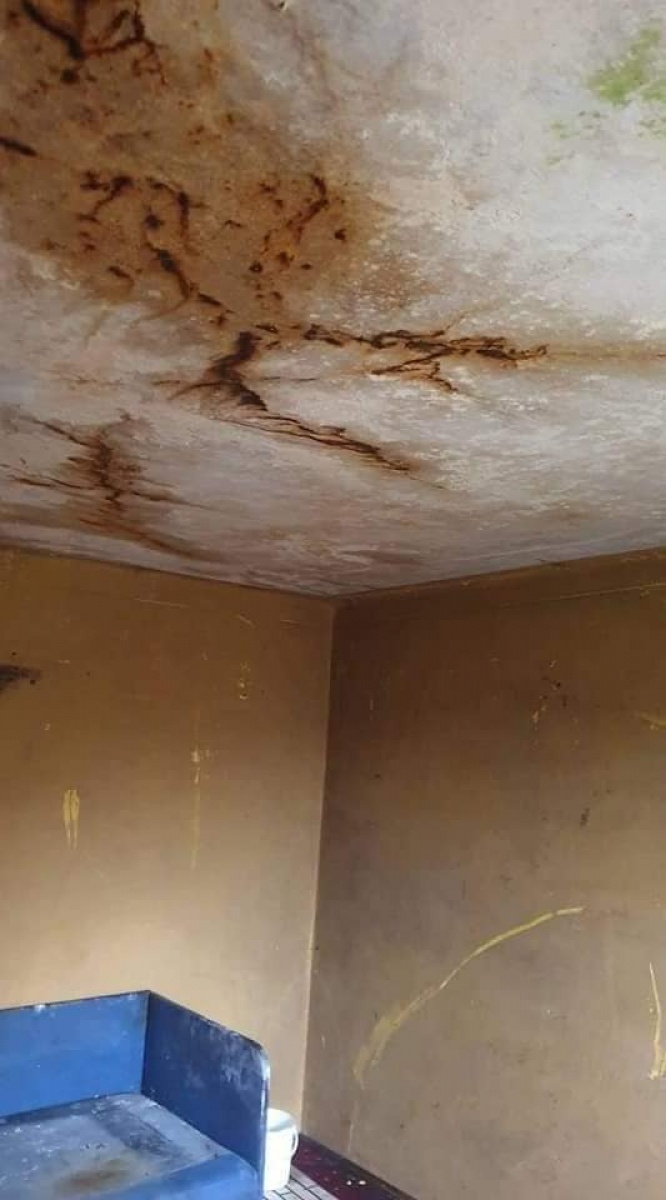 Zdjęcie w galerii na portalu naszwodzislaw.com: Senior z Mszany potrzebuje pomocy wiadomości z regionu