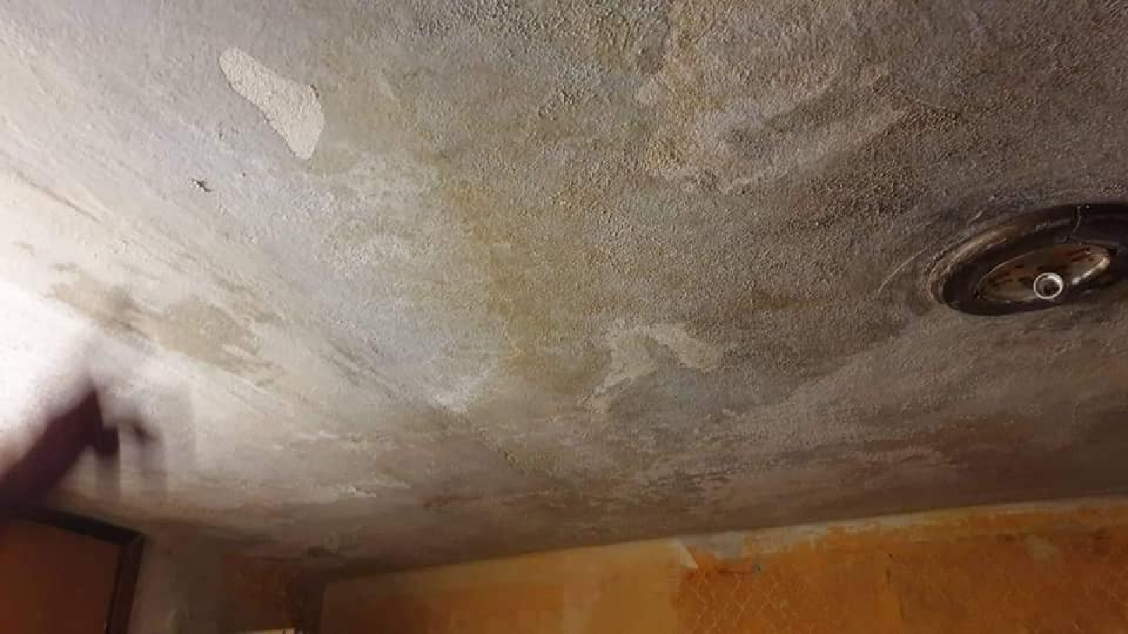 Zdjęcie w galerii na portalu naszwodzislaw.com: Senior z Mszany potrzebuje pomocy wiadomości z regionu