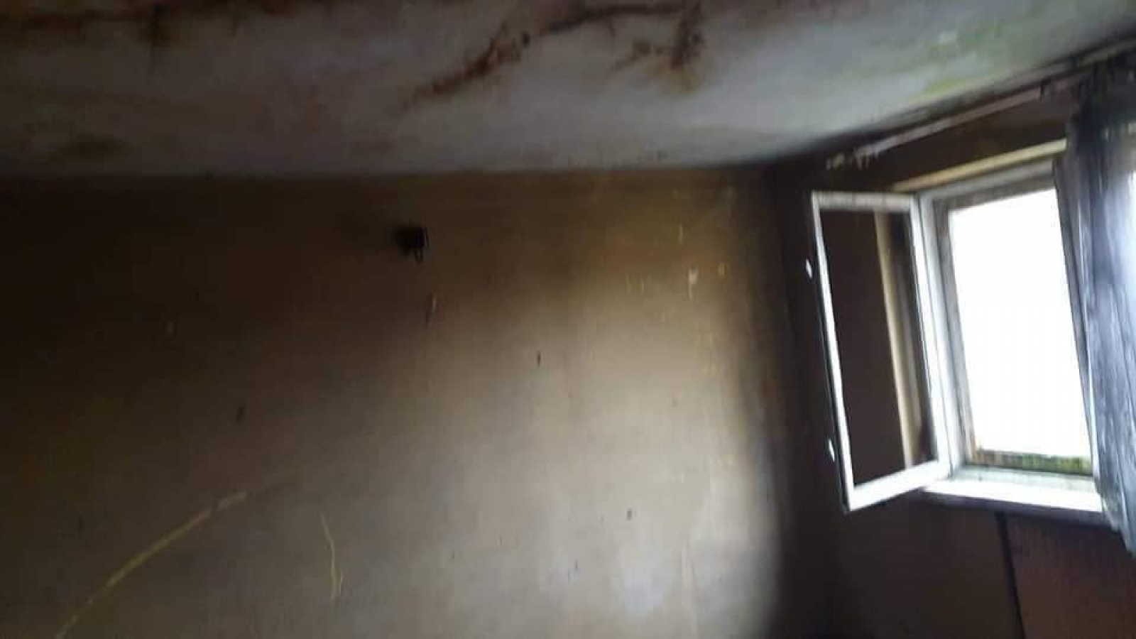 Zdjęcie w galerii na portalu naszwodzislaw.com: Senior z Mszany potrzebuje pomocy wiadomości z regionu