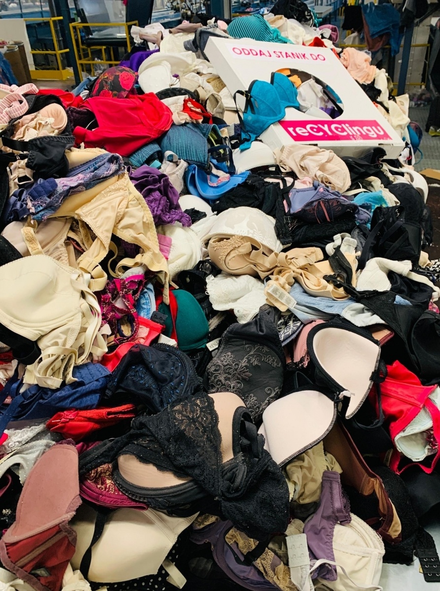 Zdjęcie w galerii na portalu naszwodzislaw.com: Padł nowy rekord. Ponad 3400 biustonoszy zebranych w reCYClingu w województwie śląskim wiadomości z regionu