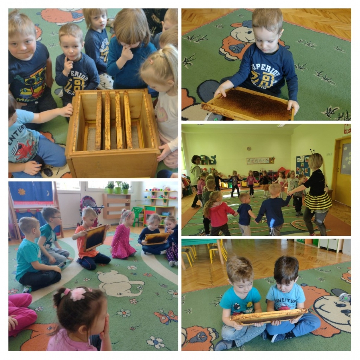 Zdjęcie w galerii na portalu naszwodzislaw.com: O pszczołach w przedszkolu numer 19 wiadomości z regionu