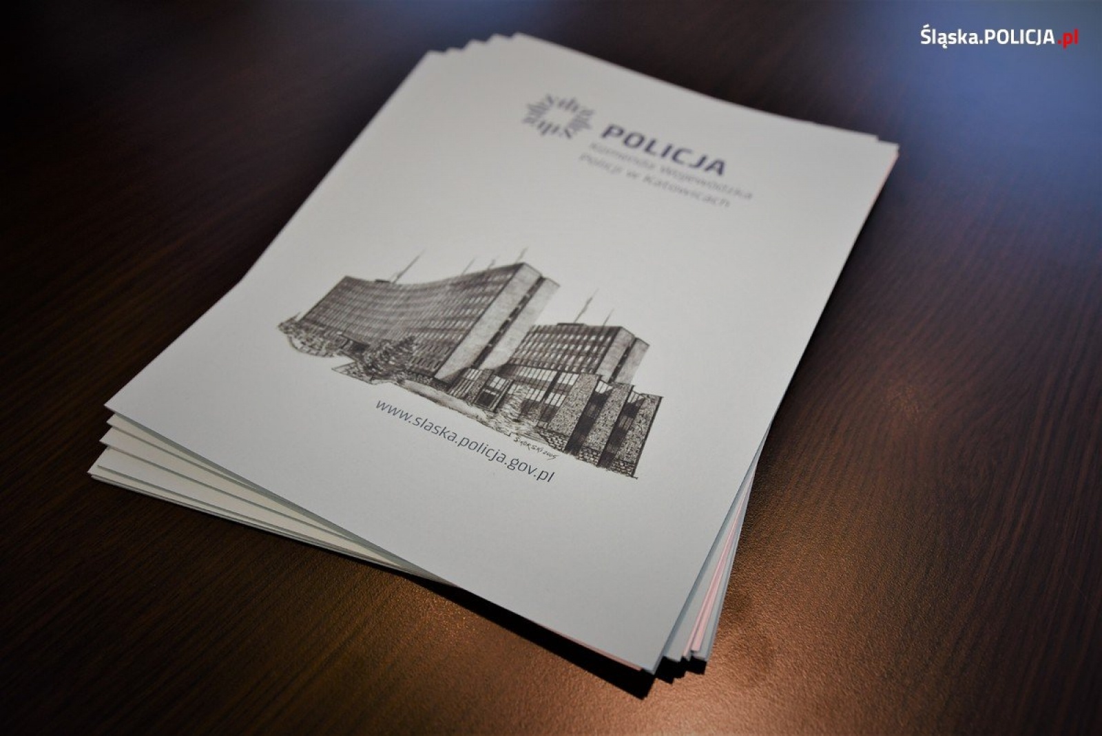Zdjęcie w galerii na portalu naszwodzislaw.com: Powołania i mianowania na stanowiska kierownicze w śląskiej policji wiadomości z regionu