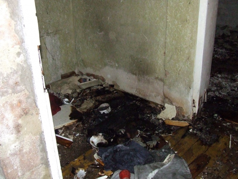 Zdjęcie w galerii na portalu naszwodzislaw.com: Pożar pustostanu w Pszowie wiadomości z regionu