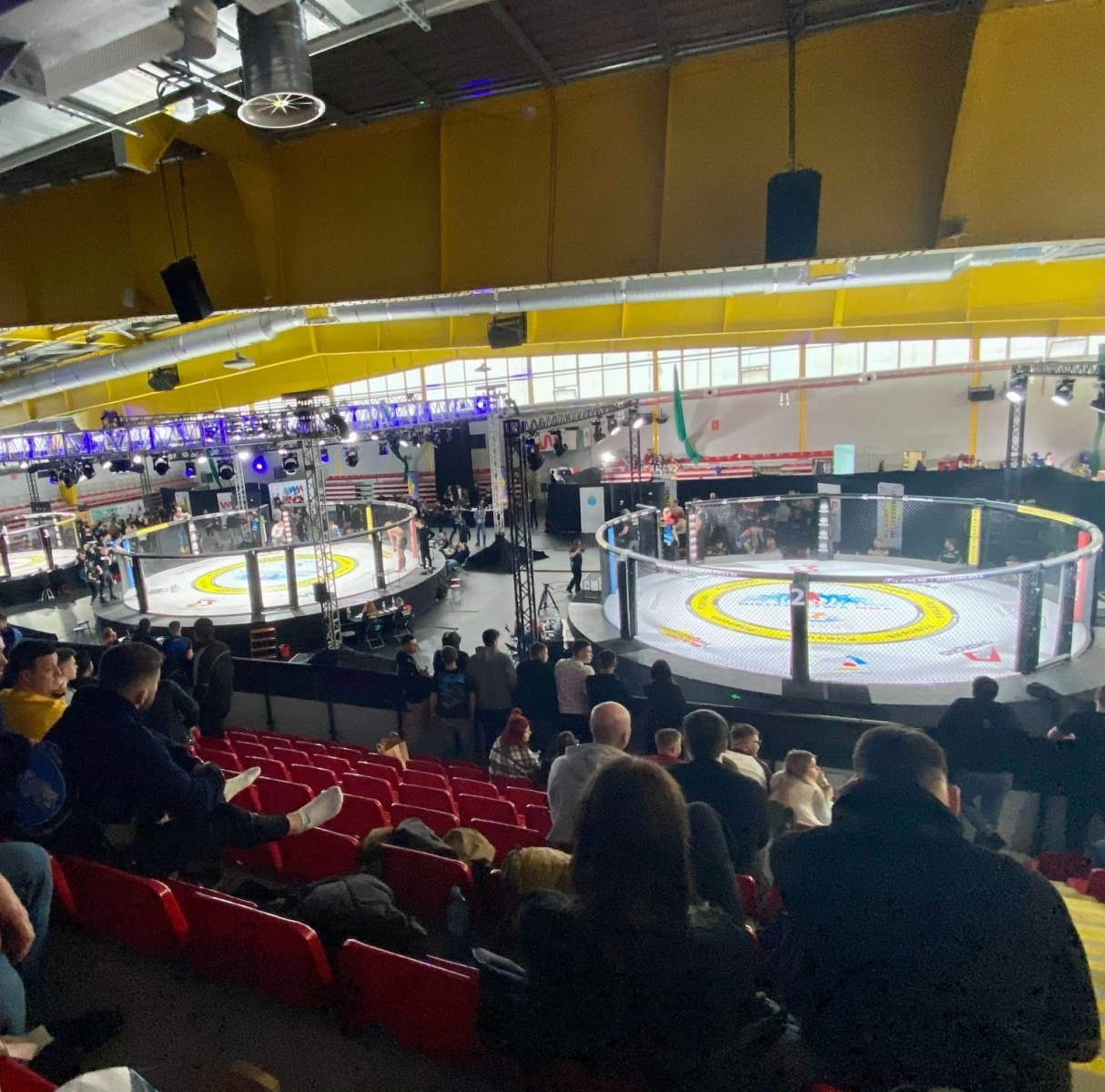 Zdjęcie w galerii na portalu naszwodzislaw.com: Świetny weekend zawodników Octagon Team wiadomości z regionu