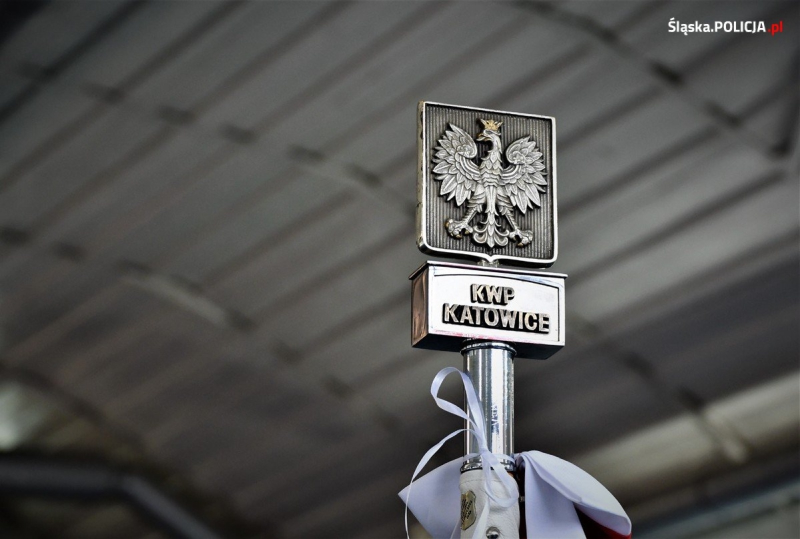 Zdjęcie w galerii na portalu naszwodzislaw.com: Ślubowanie nowych policjantów śląskiego garnizonu wiadomości z regionu