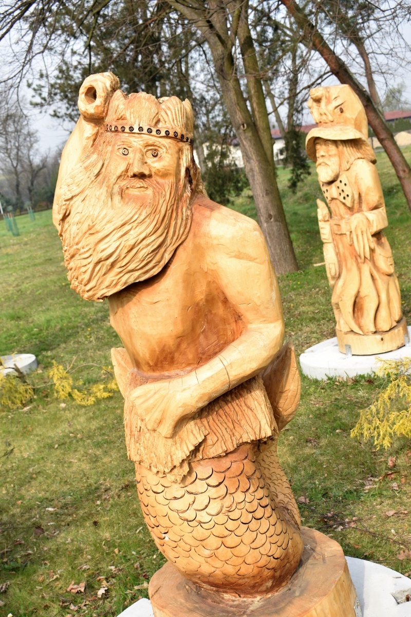 Zdjęcie w galerii na portalu naszwodzislaw.com: Utopce opanowały centrum Godowa wiadomości z regionu