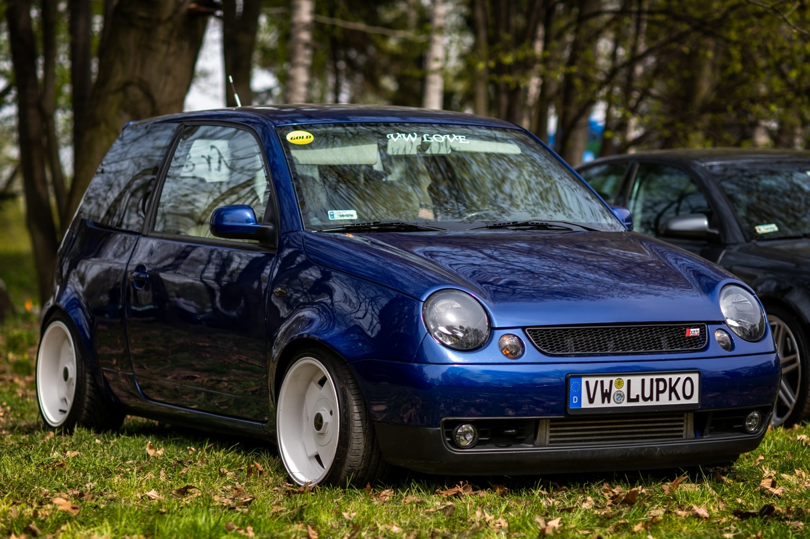 Zdjęcie w galerii na portalu naszwodzislaw.com: Petrol Beach 2022. Auta tuningowe zjechały do Bukowa [FOTO] wiadomości z regionu