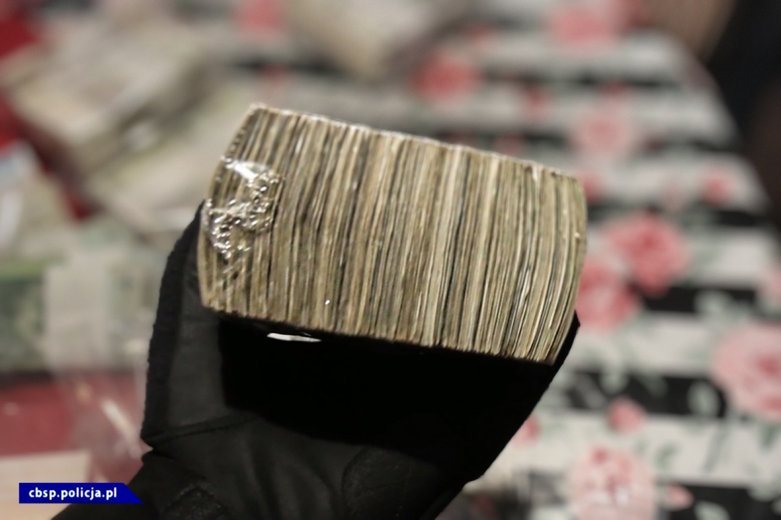 Zdjęcie w galerii na portalu naszwodzislaw.com: 16 osób zatrzymanych w śledztwie dotyczącym niewłaściwego utylizowania odpadów wiadomości z regionu