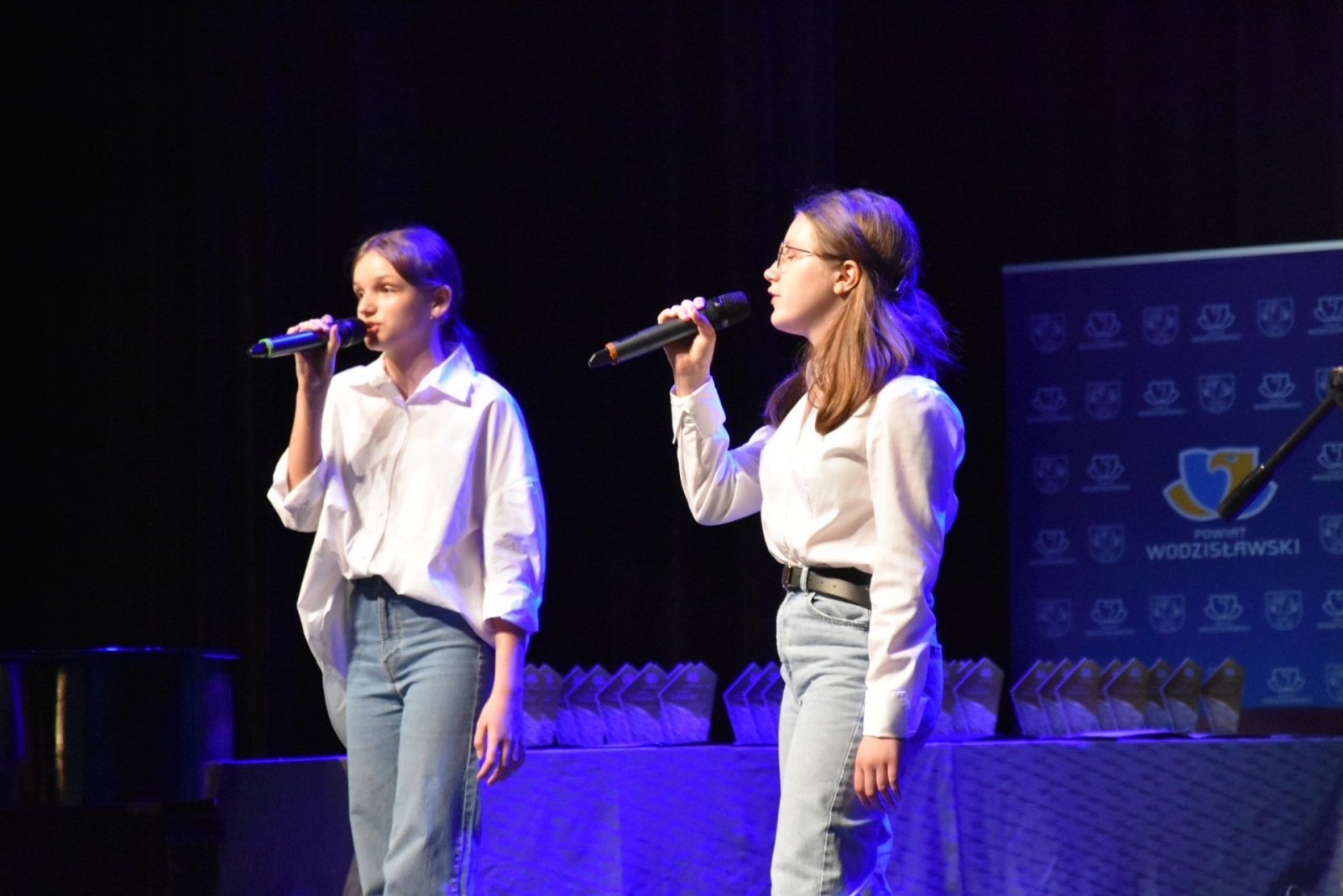 Zdjęcie w galerii na portalu naszwodzislaw.com: Nagrody i wyróżnienia powiatu w dziedzinie kultury i sportu wręczone wiadomości z regionu