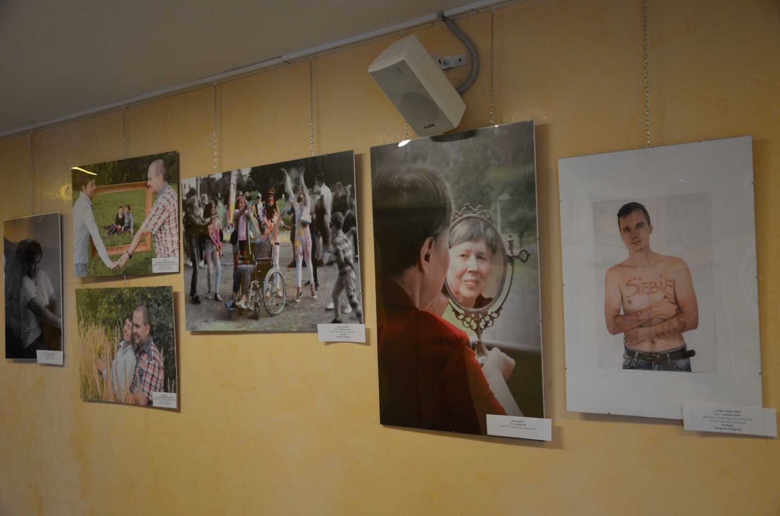 Zdjęcie w galerii na portalu naszwodzislaw.com: To, co kochają. Za nami wyjątkowy wernisaż [FOTO] wiadomości z regionu