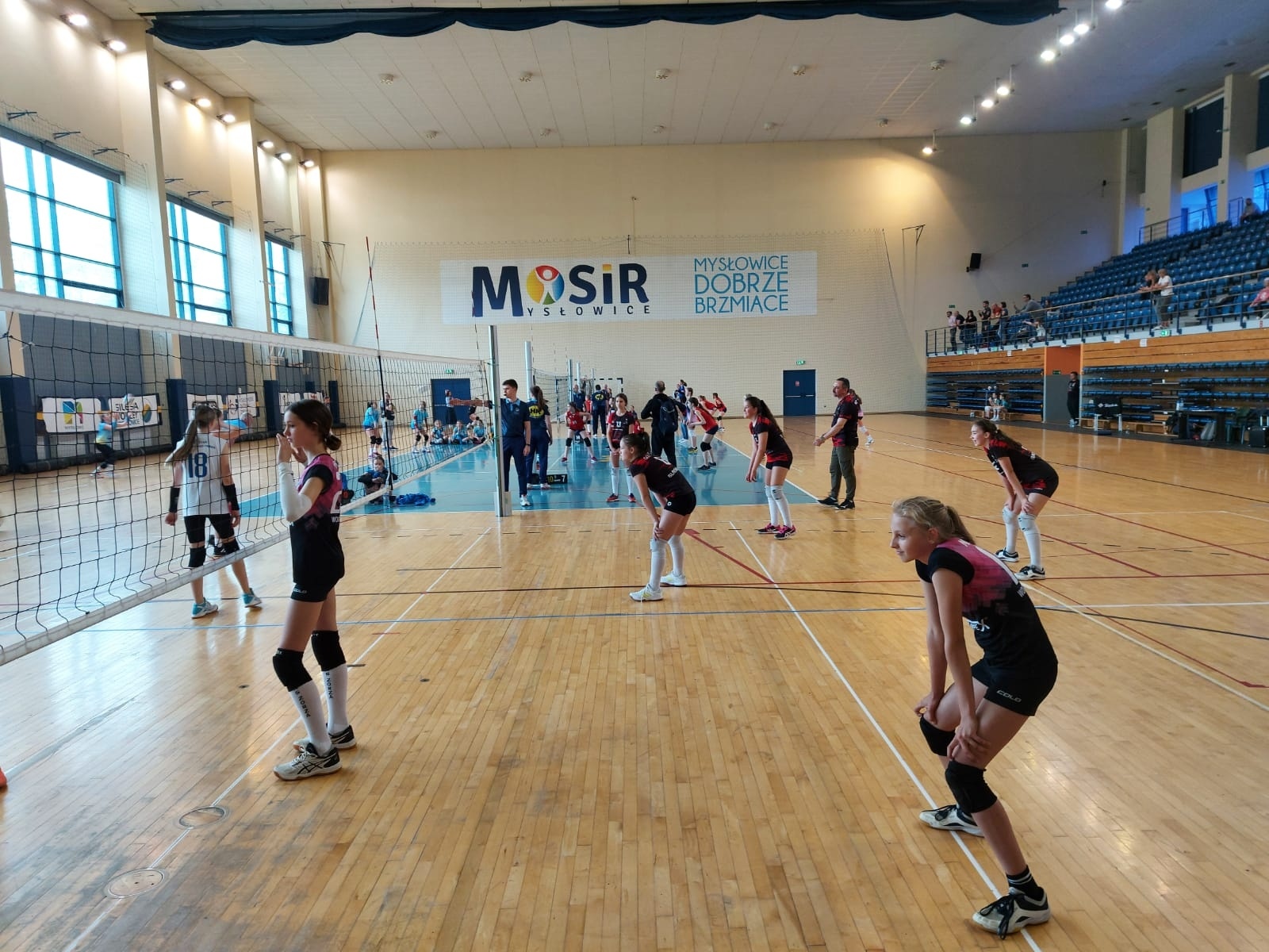 Zdjęcie w galerii na portalu naszwodzislaw.com: Minisiatkarki wodzisławskiej Zorzy w czołówce rozgrywek na Śląsku wiadomości z regionu