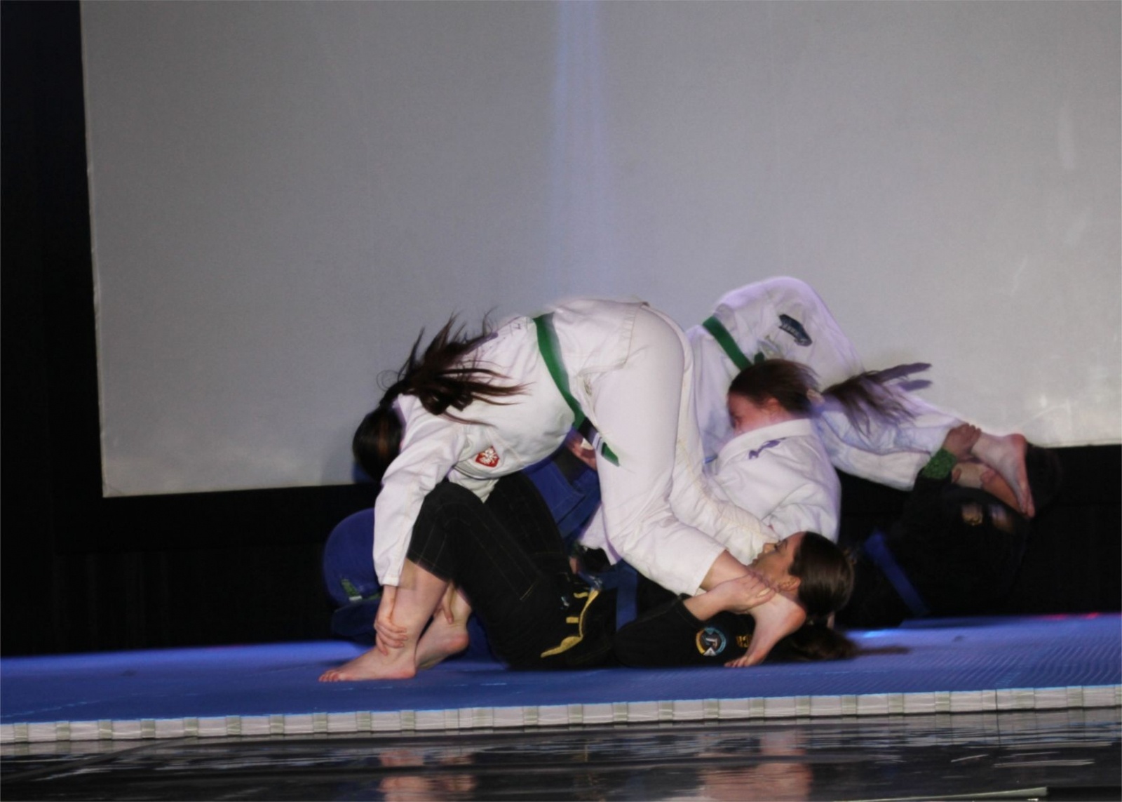 Zdjęcie w galerii na portalu naszwodzislaw.com: V Gala Judo Akademii Top Team za nami wiadomości z regionu