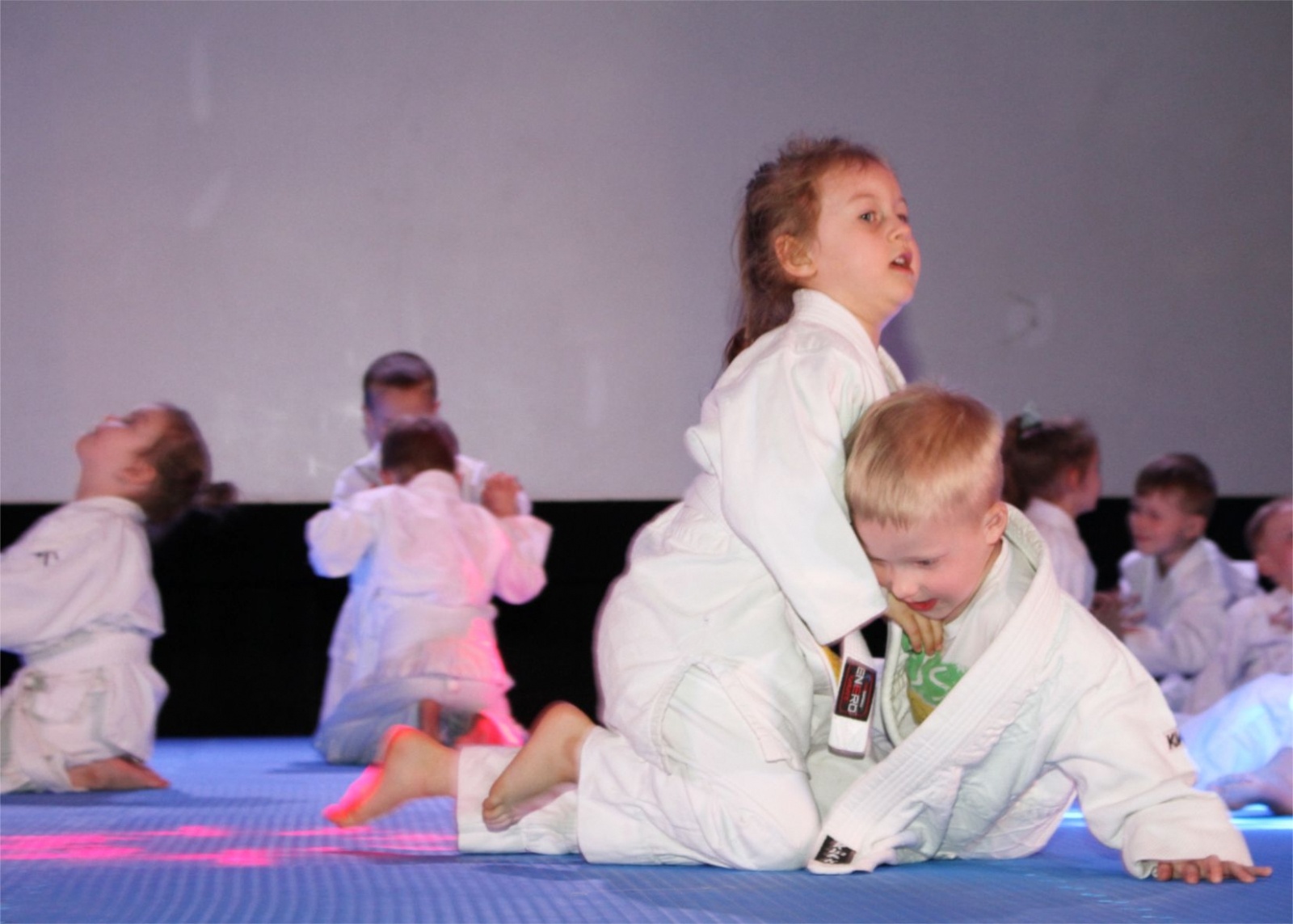 Zdjęcie w galerii na portalu naszwodzislaw.com: V Gala Judo Akademii Top Team za nami wiadomości z regionu