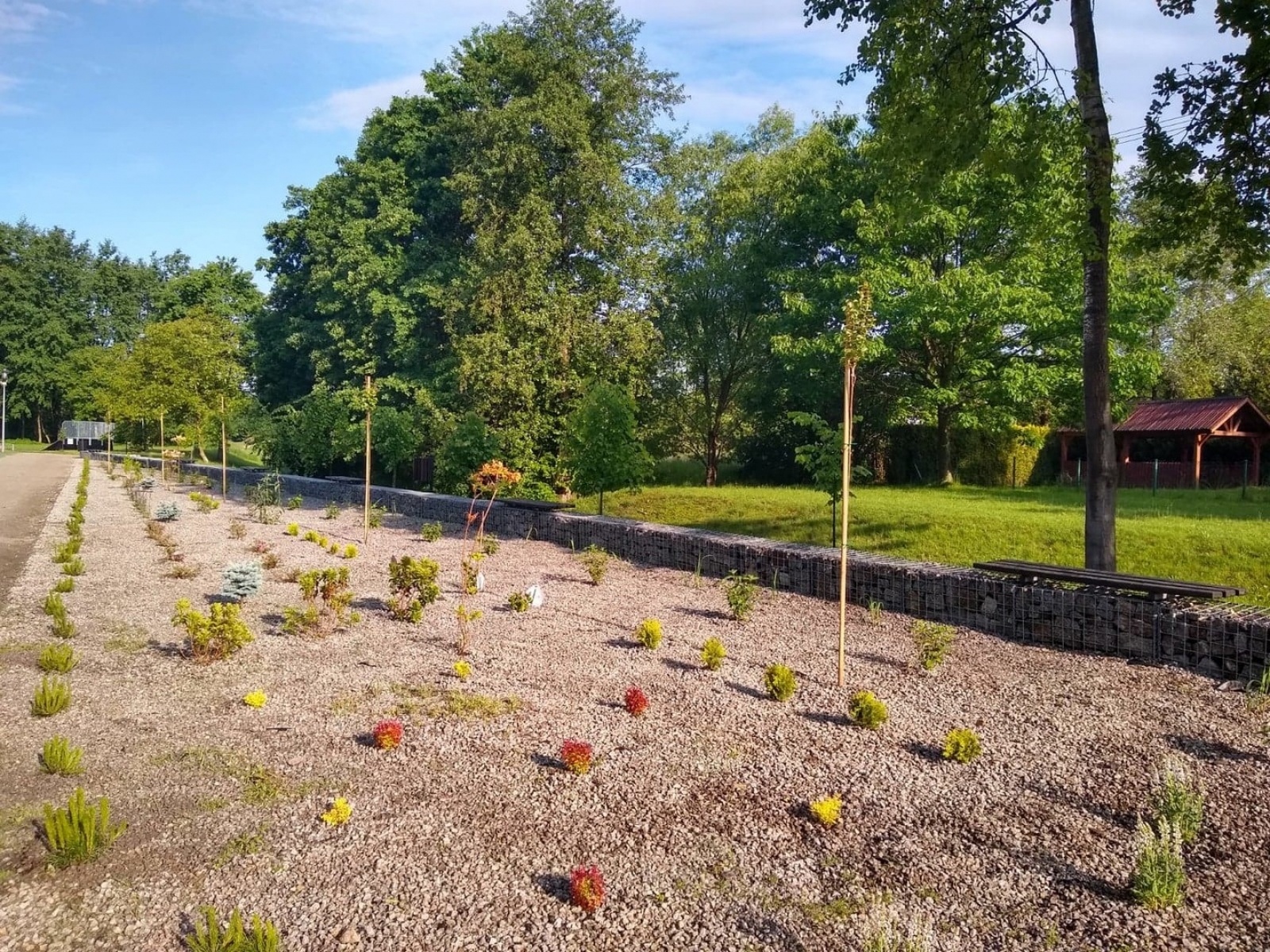 Zdjęcie w galerii na portalu naszwodzislaw.com: Fundacja JSW ufundowała nowe nasadzenia w mszańskim Parku Aktywnej Rekreacji wiadomości z regionu