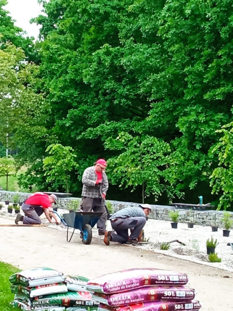 Zdjęcie w galerii na portalu naszwodzislaw.com: Fundacja JSW ufundowała nowe nasadzenia w mszańskim Parku Aktywnej Rekreacji wiadomości z regionu