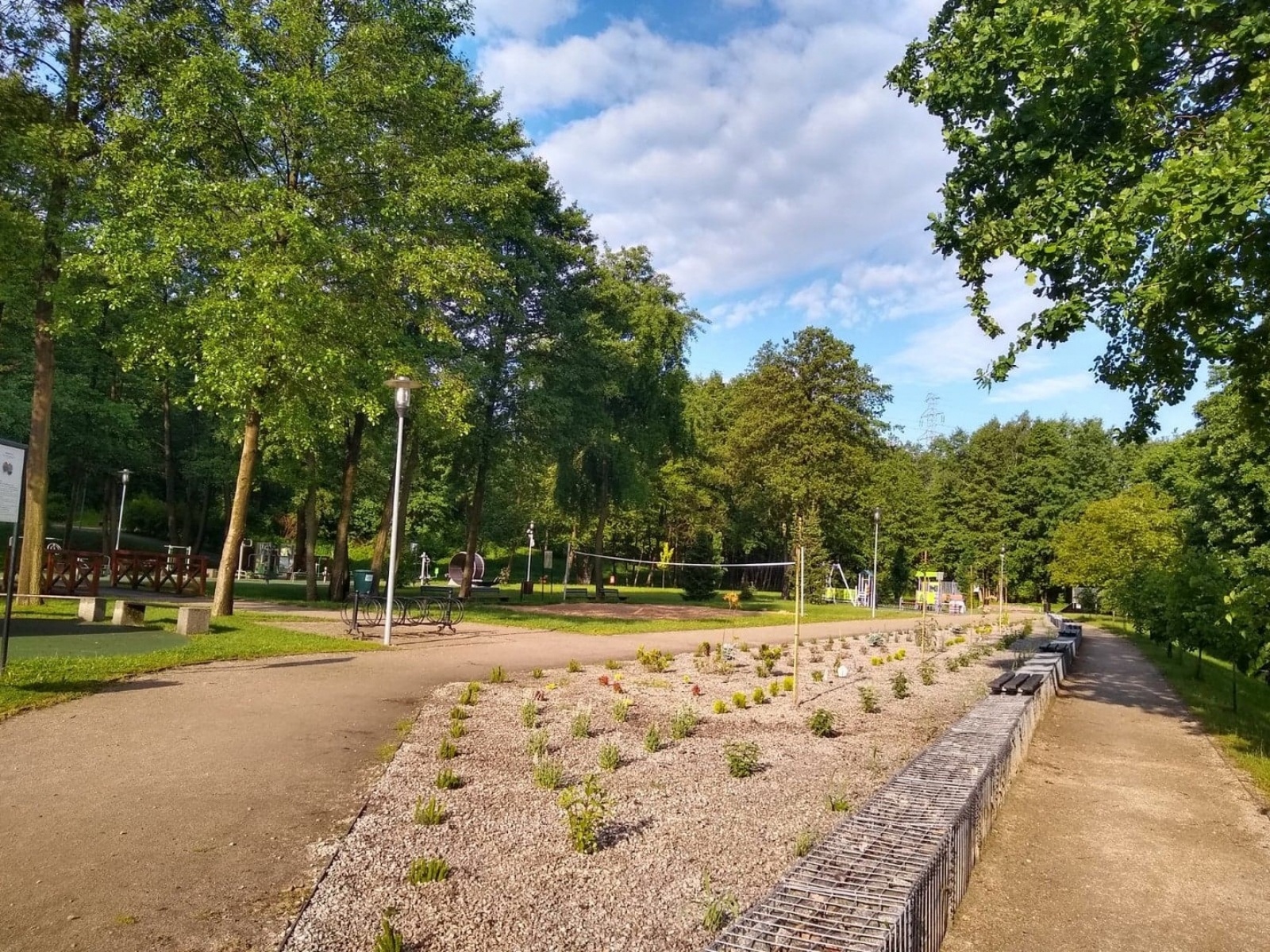 Zdjęcie w galerii na portalu naszwodzislaw.com: Fundacja JSW ufundowała nowe nasadzenia w mszańskim Parku Aktywnej Rekreacji wiadomości z regionu