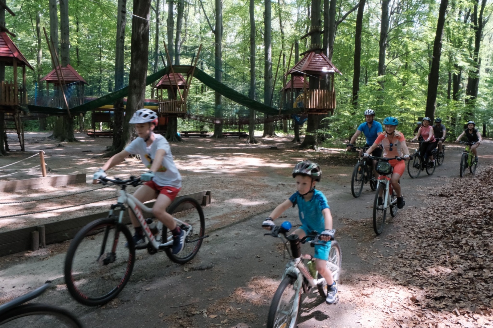 Zdjęcie w galerii na portalu naszwodzislaw.com: VI Bieg dookoła Radlina za nami [FOTO] wiadomości z regionu