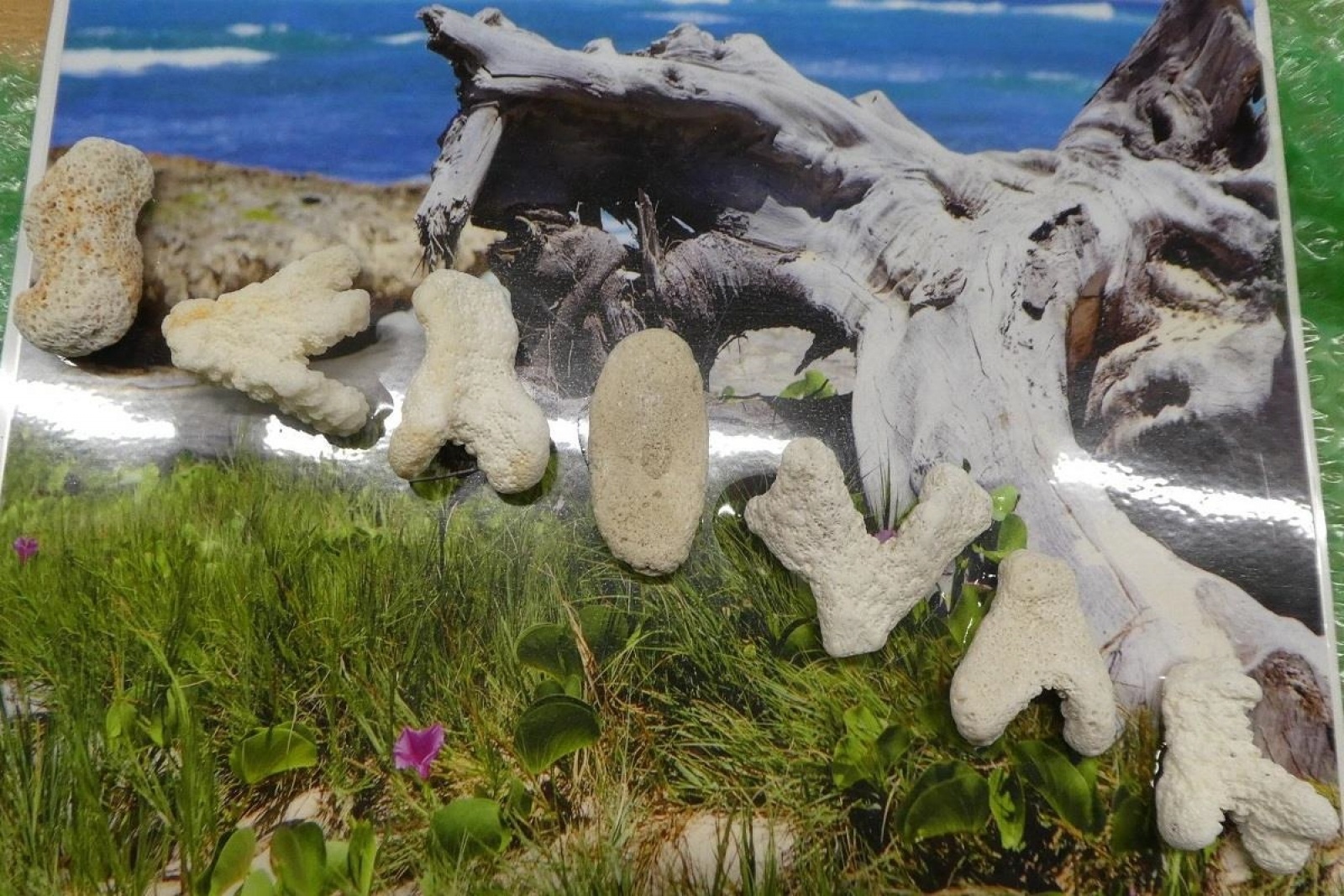 Zdjęcie w galerii na portalu naszwodzislaw.com: Jak nie zostać wakacyjnym przemytnikiem [LISTA RZECZY ZABRONIONYCH] wiadomości z regionu