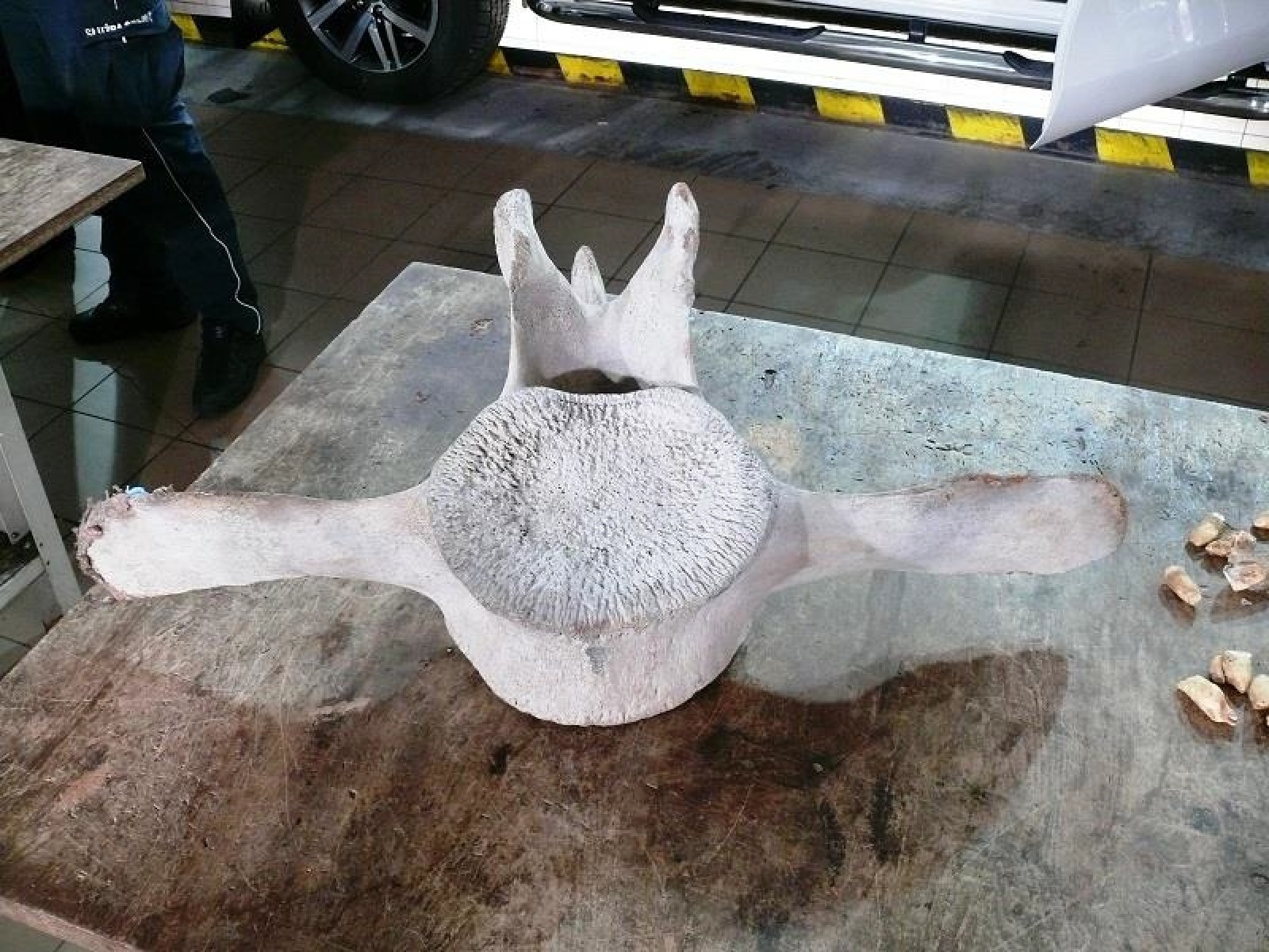 Zdjęcie w galerii na portalu naszwodzislaw.com: Jak nie zostać wakacyjnym przemytnikiem [LISTA RZECZY ZABRONIONYCH] wiadomości z regionu