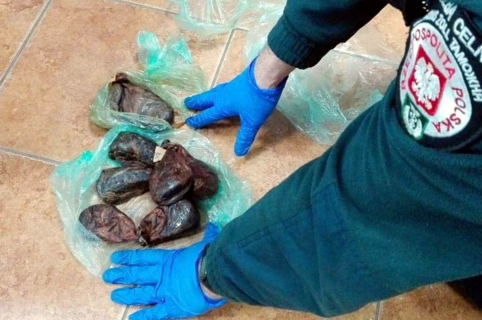 Zdjęcie w galerii na portalu naszwodzislaw.com: Jak nie zostać wakacyjnym przemytnikiem [LISTA RZECZY ZABRONIONYCH] wiadomości z regionu