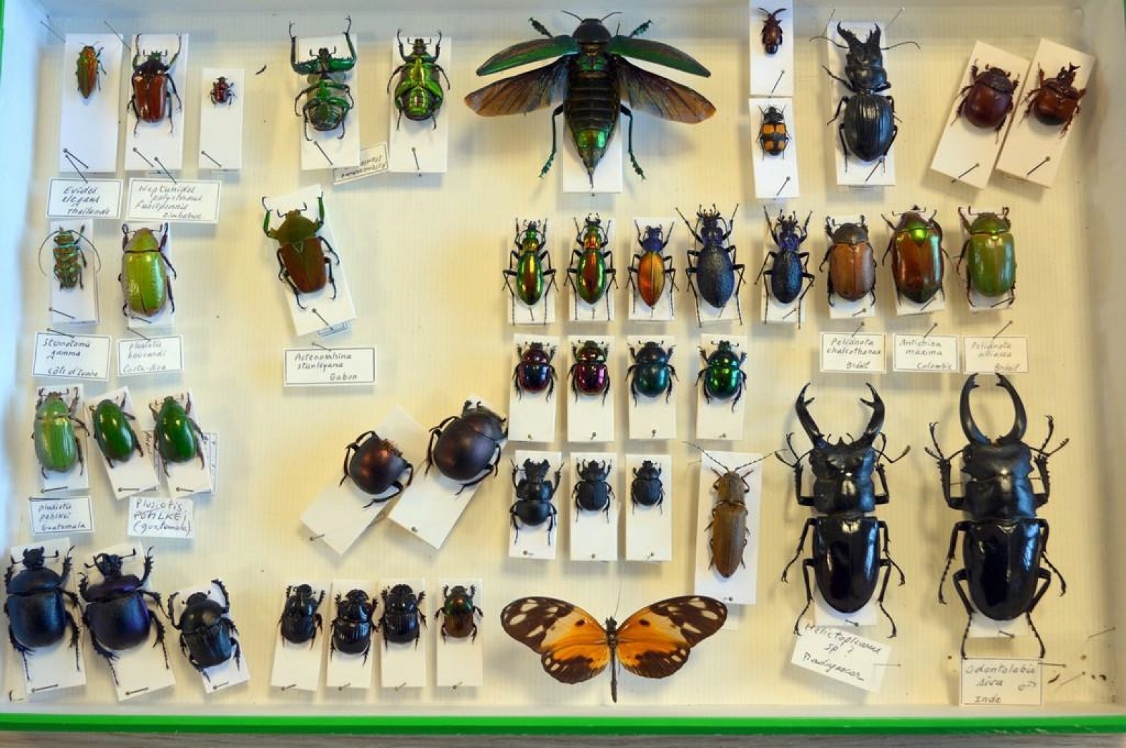 Zdjęcie w galerii na portalu naszwodzislaw.com: Jak nie zostać wakacyjnym przemytnikiem [LISTA RZECZY ZABRONIONYCH] wiadomości z regionu