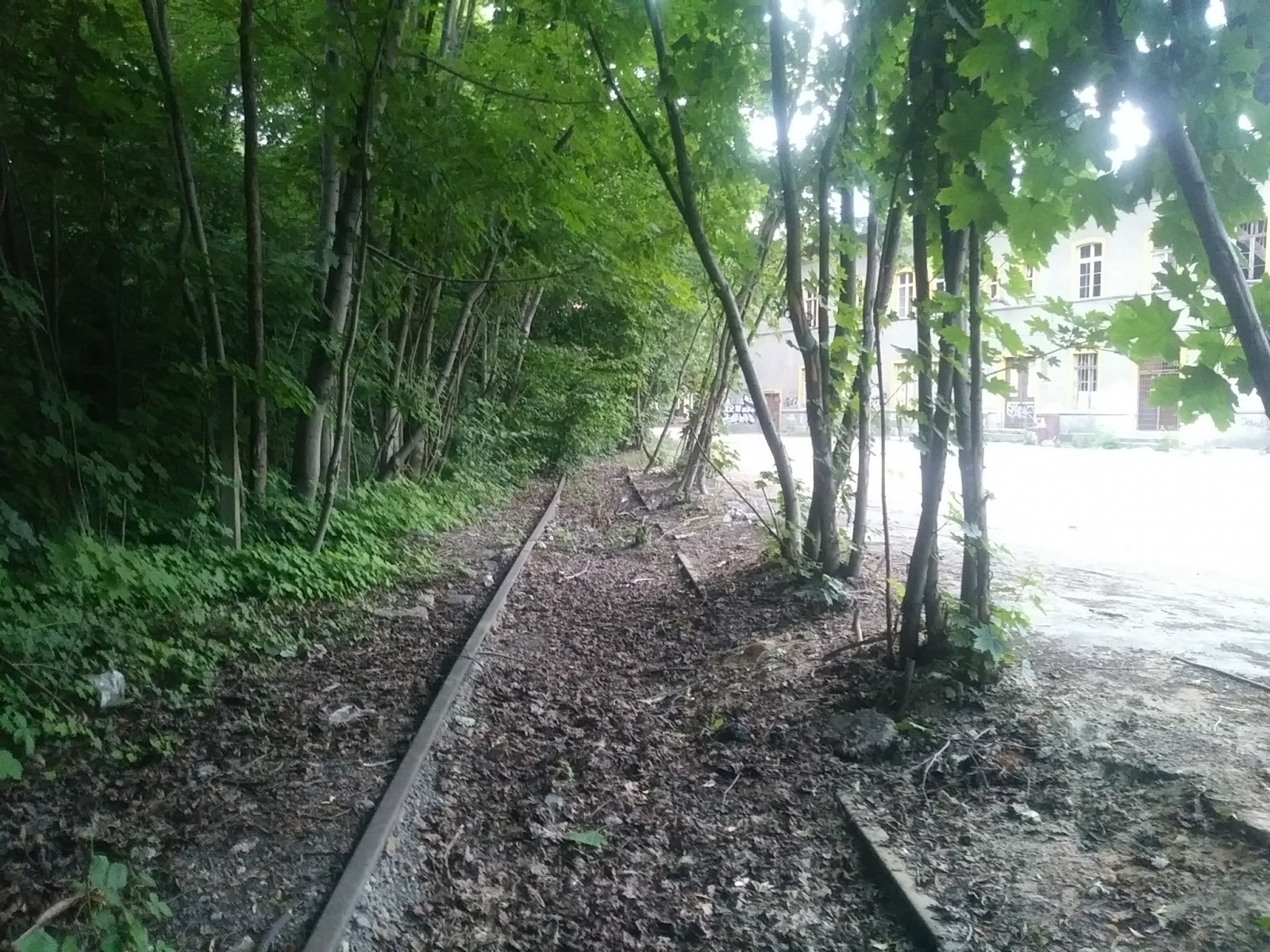 Zdjęcie w galerii na portalu naszwodzislaw.com: Bocznica kolejowa w Rydułtowach. Czy jest szansa na ratunek? wiadomości z regionu