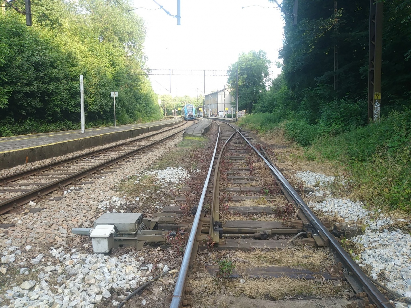 Zdjęcie w galerii na portalu naszwodzislaw.com: Bocznica kolejowa w Rydułtowach. Czy jest szansa na ratunek? wiadomości z regionu