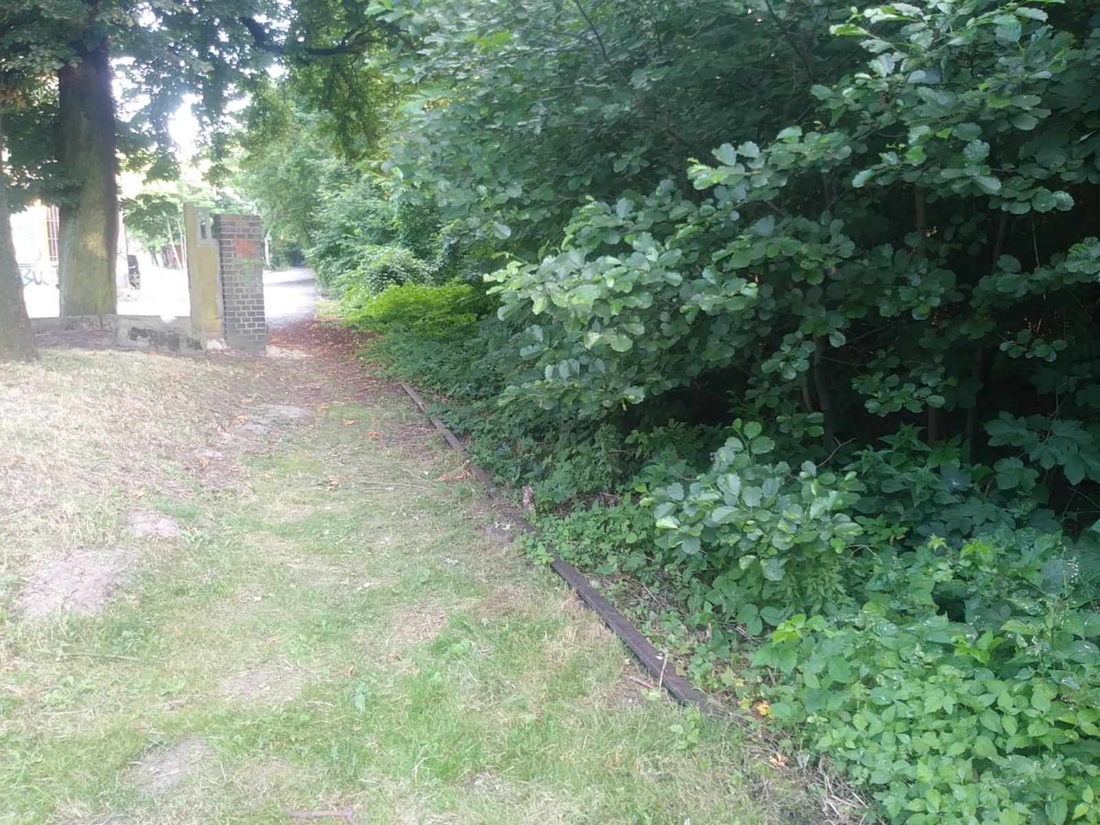 Zdjęcie w galerii na portalu naszwodzislaw.com: Bocznica kolejowa w Rydułtowach. Czy jest szansa na ratunek? wiadomości z regionu