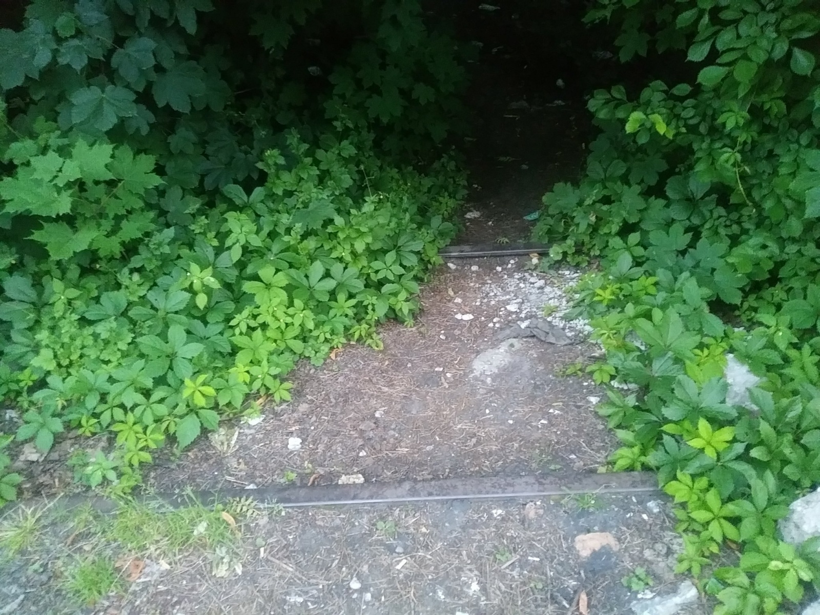 Zdjęcie w galerii na portalu naszwodzislaw.com: Bocznica kolejowa w Rydułtowach. Czy jest szansa na ratunek? wiadomości z regionu