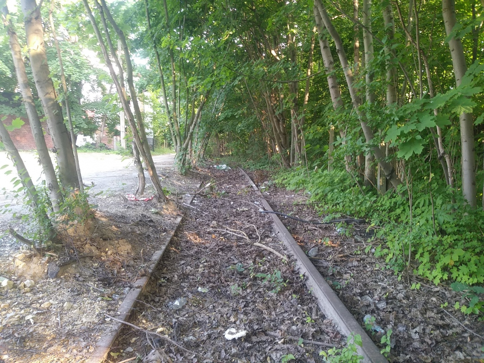 Zdjęcie w galerii na portalu naszwodzislaw.com: Bocznica kolejowa w Rydułtowach. Czy jest szansa na ratunek? wiadomości z regionu