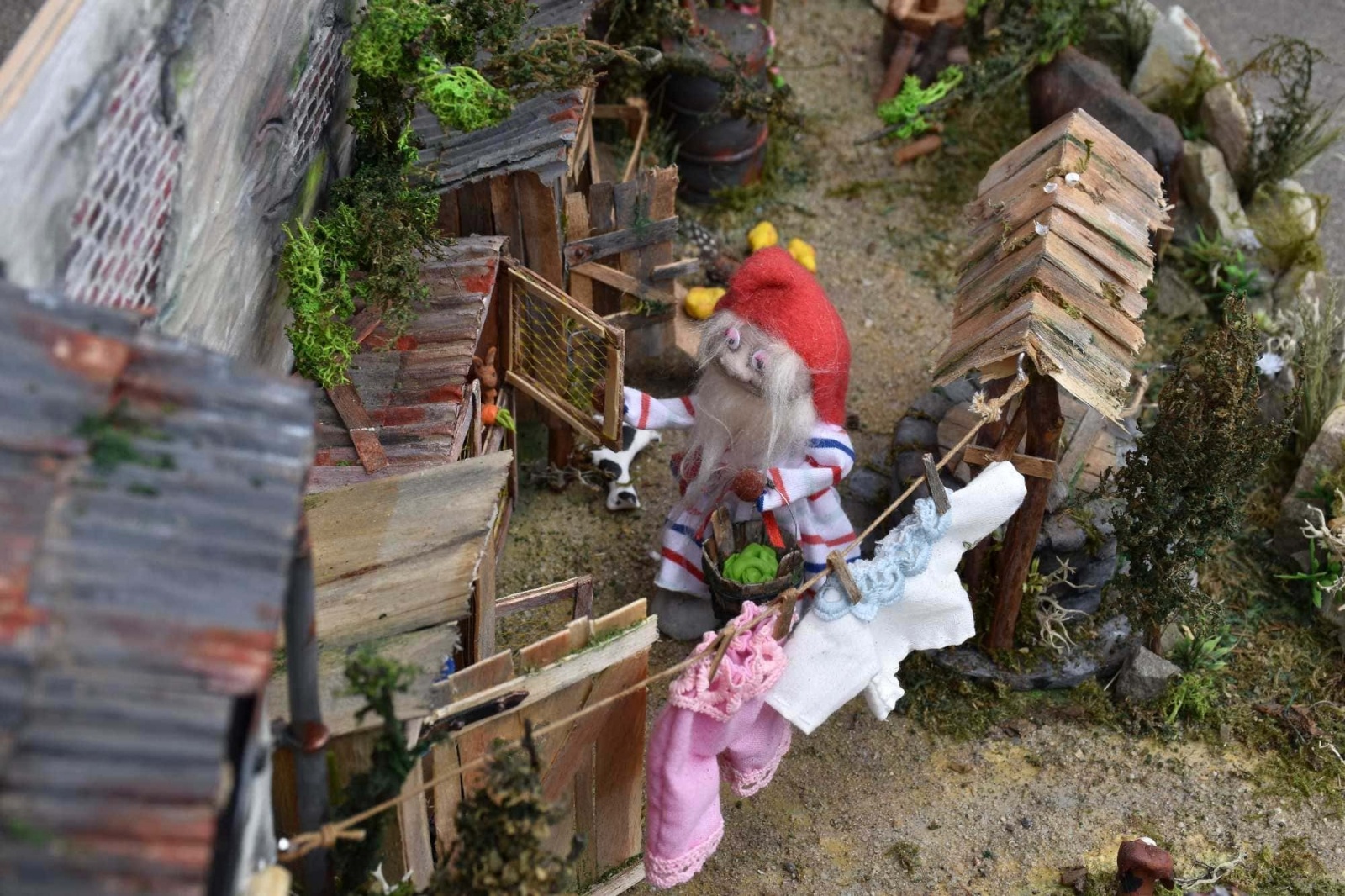 Zdjęcie w galerii na portalu naszwodzislaw.com: Wodzisławskie Skrzaty na farmie wiadomości z regionu