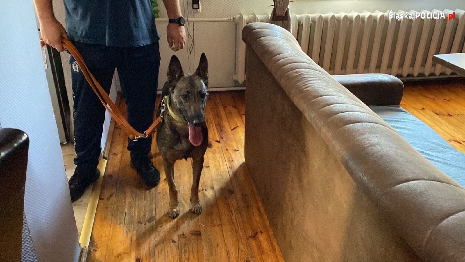 Zdjęcie w galerii na portalu naszwodzislaw.com: Gang pseudokibiców przemycał ludzi wiadomości z regionu