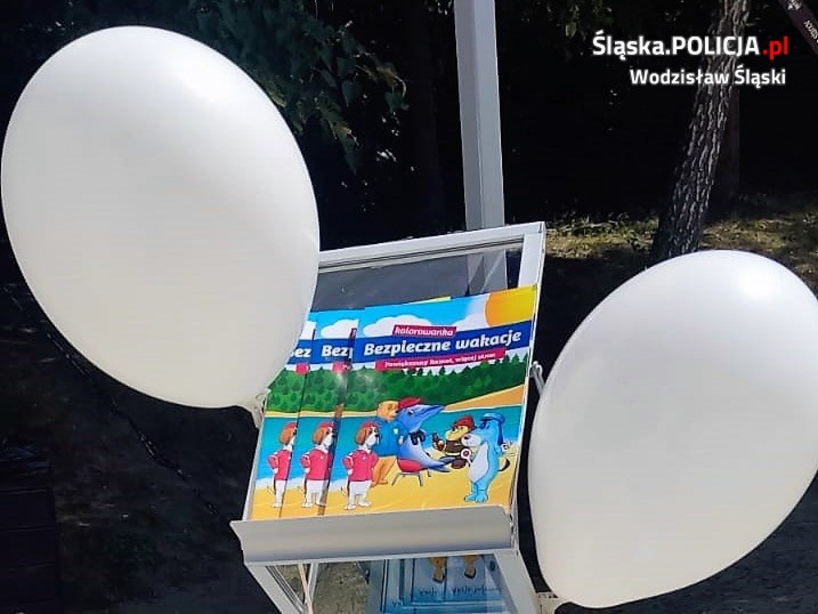 Zdjęcie w galerii na portalu naszwodzislaw.com: Kręci mnie bezpieczeństwo nad wodą - tym razem nad Balatonem wiadomości z regionu