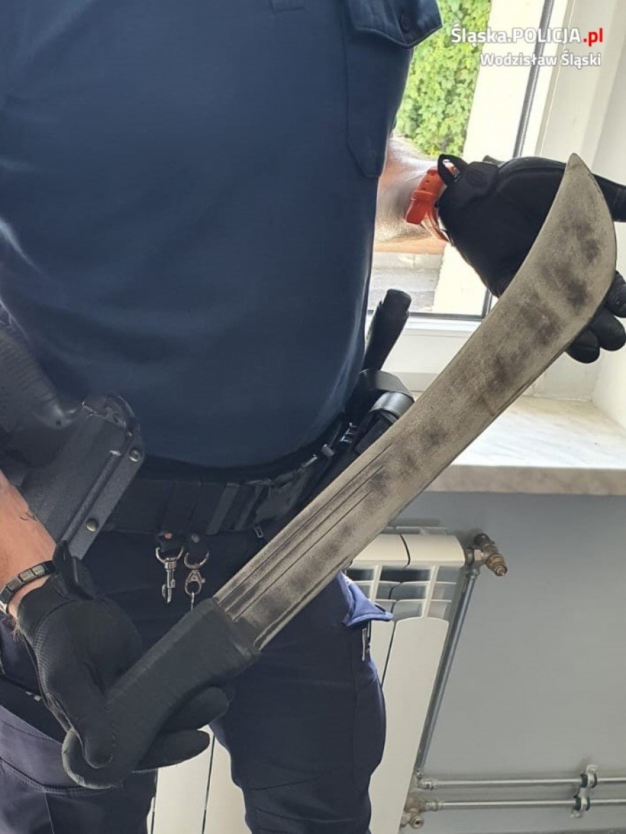 Zdjęcie w galerii na portalu naszwodzislaw.com: Intuicja nie zawiodła. Dopalacze ujawnione w Pszowie wiadomości z regionu