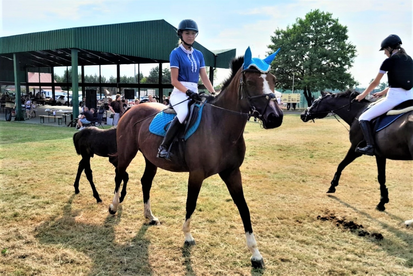 Zdjęcie w galerii na portalu naszwodzislaw.com: XIII Pokaz Konia Śląskiego za nami. Gira najpiękniejsza [FOTO] wiadomości z regionu