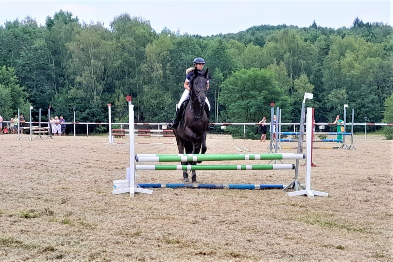 Zdjęcie w galerii na portalu naszwodzislaw.com: XIII Pokaz Konia Śląskiego za nami. Gira najpiękniejsza [FOTO] wiadomości z regionu