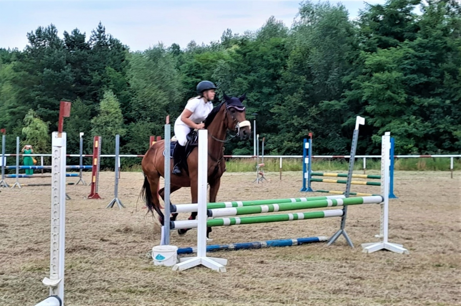 Zdjęcie w galerii na portalu naszwodzislaw.com: XIII Pokaz Konia Śląskiego za nami. Gira najpiękniejsza [FOTO] wiadomości z regionu