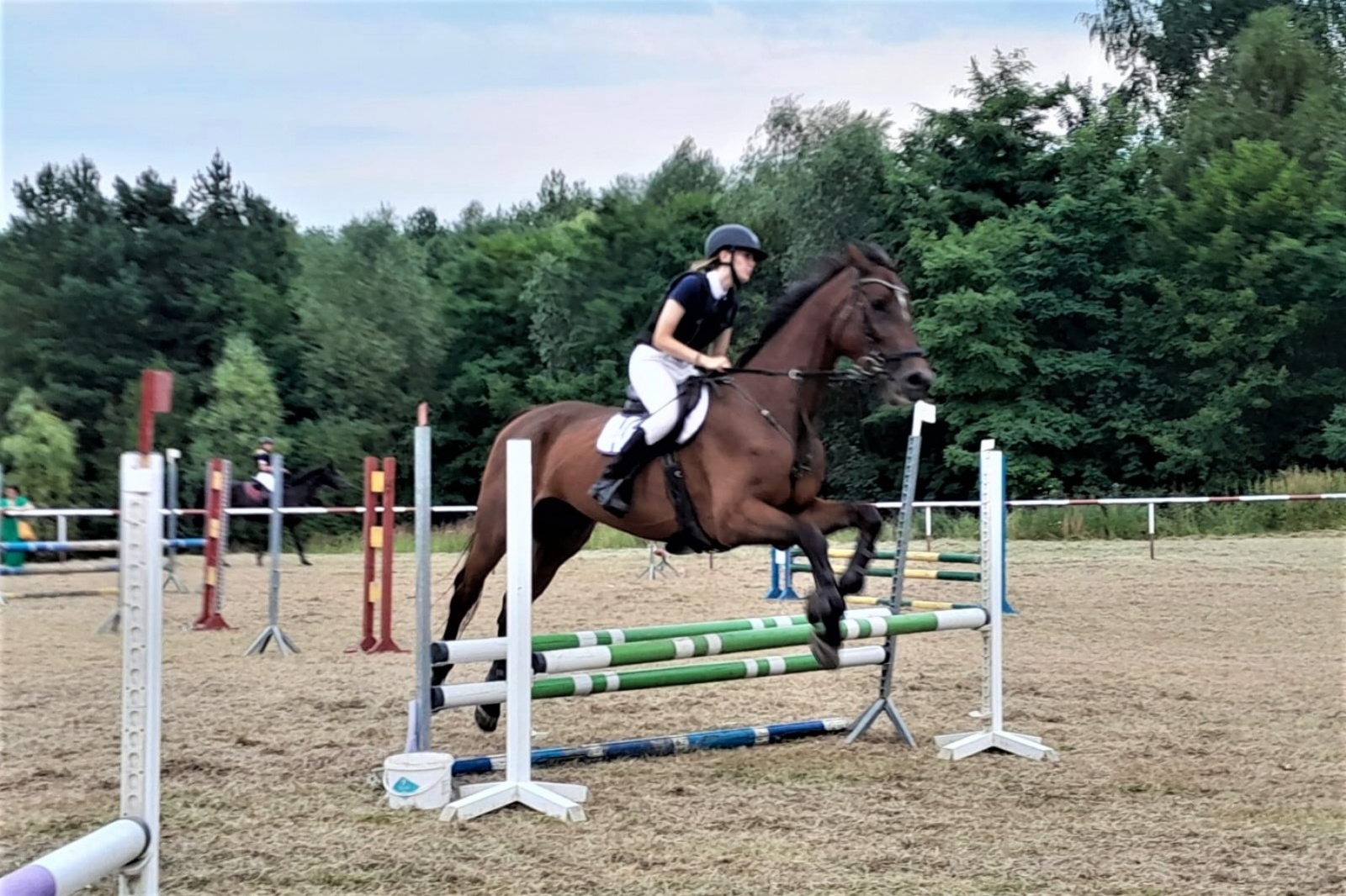 Zdjęcie w galerii na portalu naszwodzislaw.com: XIII Pokaz Konia Śląskiego za nami. Gira najpiękniejsza [FOTO] wiadomości z regionu