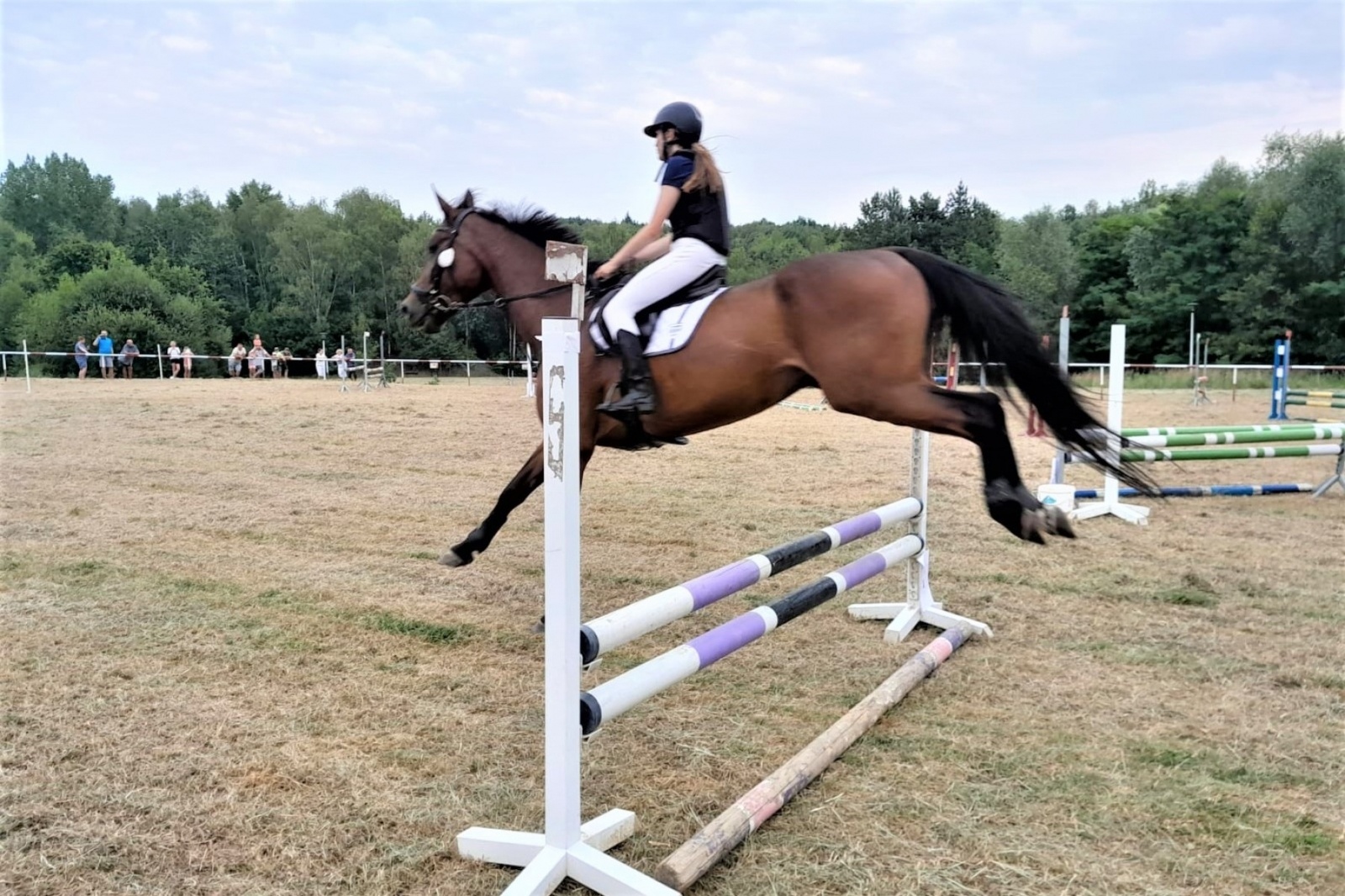 Zdjęcie w galerii na portalu naszwodzislaw.com: XIII Pokaz Konia Śląskiego za nami. Gira najpiękniejsza [FOTO] wiadomości z regionu