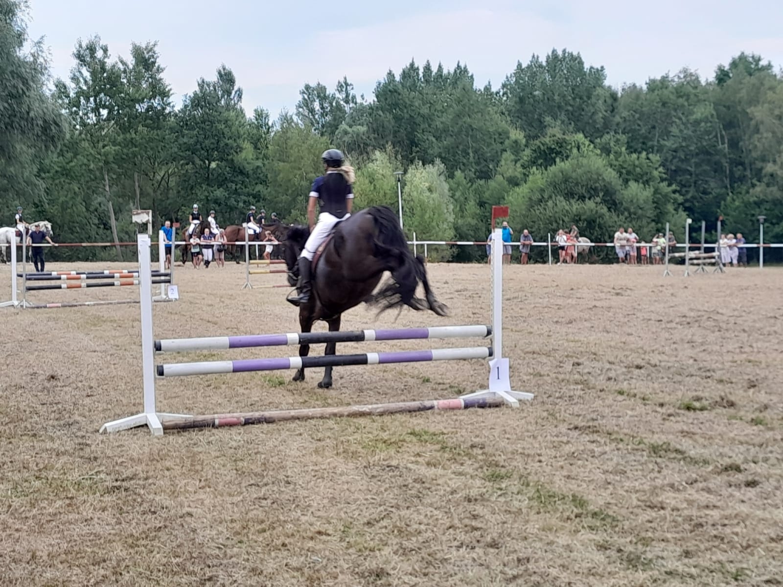 Zdjęcie w galerii na portalu naszwodzislaw.com: XIII Pokaz Konia Śląskiego za nami. Gira najpiękniejsza [FOTO] wiadomości z regionu