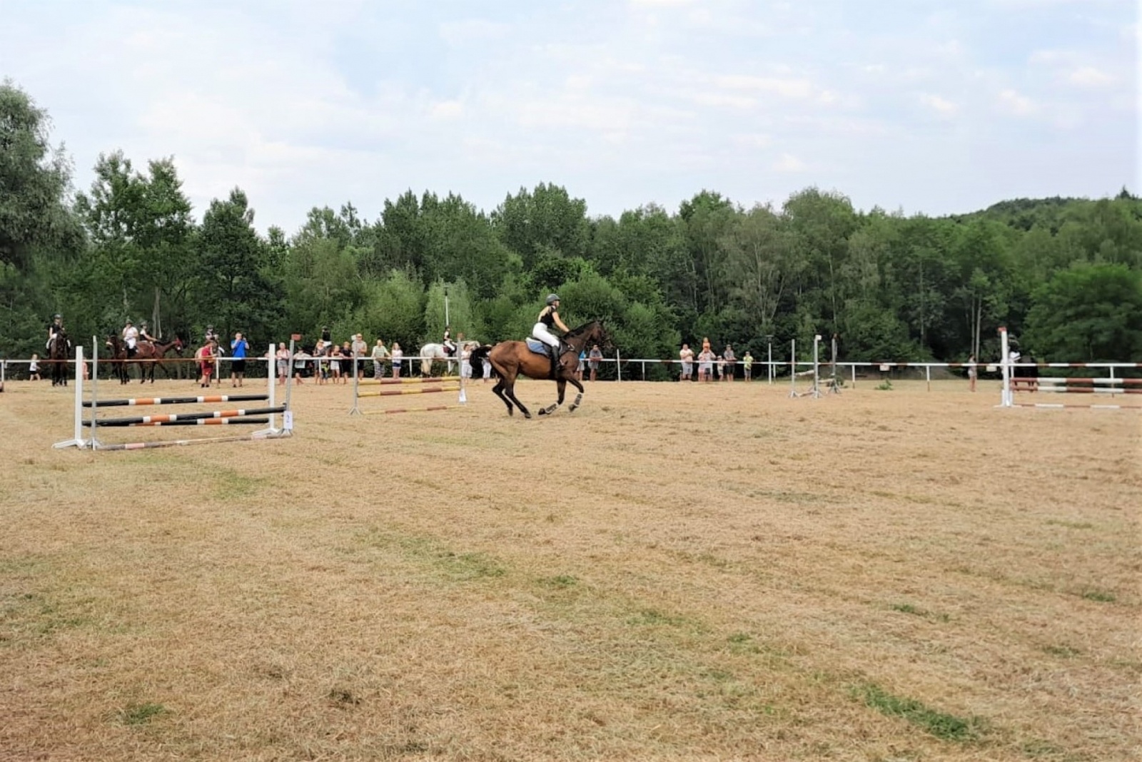 Zdjęcie w galerii na portalu naszwodzislaw.com: XIII Pokaz Konia Śląskiego za nami. Gira najpiękniejsza [FOTO] wiadomości z regionu